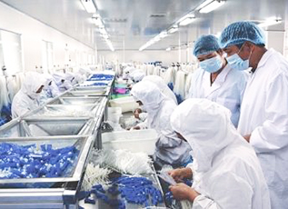 BG大游(中国集团)唯一官方网站